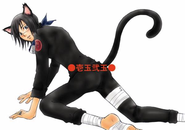 Sexy Neko Iruka Umino